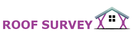 Roof Survey Logo